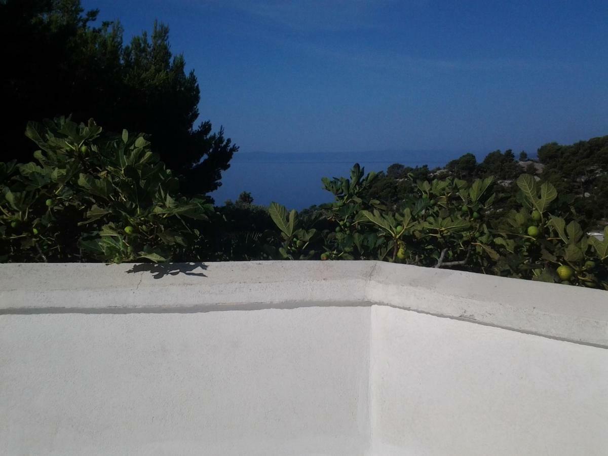 Apartment Biokovo Krvavica Bagian luar foto