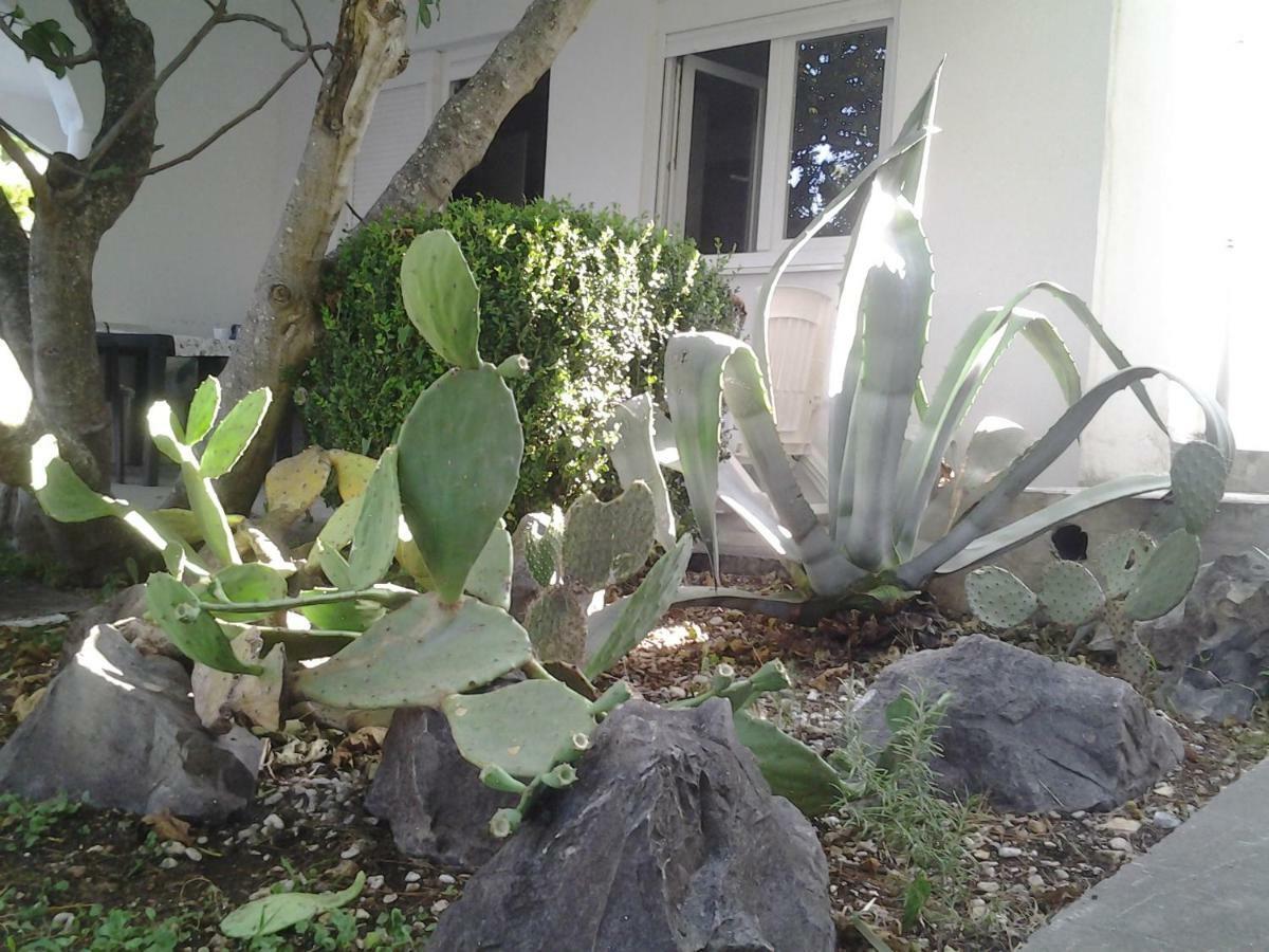 Apartment Biokovo Krvavica Bagian luar foto